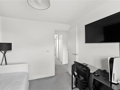 Picture 28